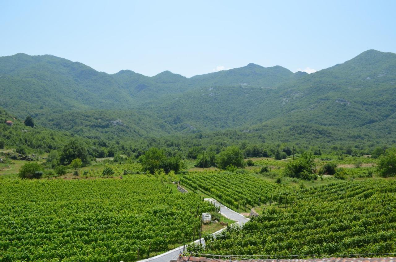 Markovic Winery And Estate Apartments Цетине Экстерьер фото